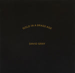 (中古) デヴィッド・グレイ - Gold In A Brass Age