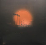 アフガン・ウィッグス - ハウ・ドゥ・ユー・バーン?(ビニール盤)