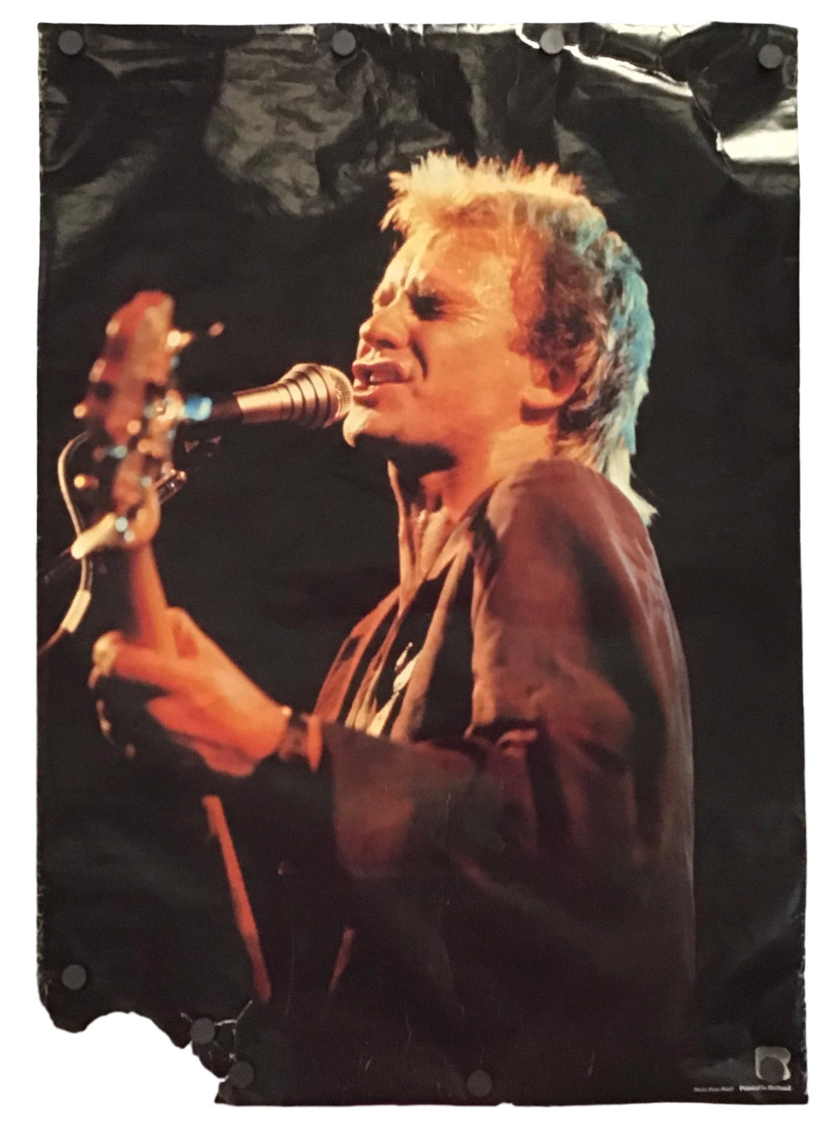 A vertical rectangular wall banner or poster featuring a photo print of a female singer performing live on stage, holding a microphone and guitar, with visible grommets along the top and left edges, set against a plain white background.