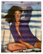 Susan Sarandon - Poster