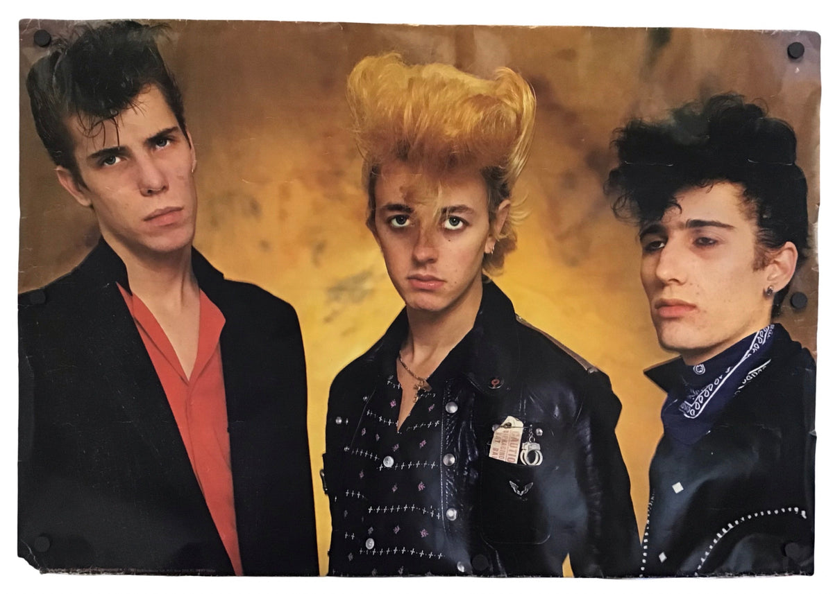 The Stray Cats - Poster