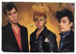 The Stray Cats - Poster
