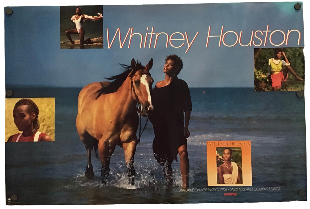 A Whitney Houston 'The Human Search for Meaning' 12x12 inch poster mounted on a white wall. The poster features a large photo of Whitney Houston walking with a horse in the ocean, with smaller inset photos and the text 'Whitney Houston' in orange.