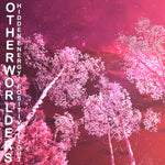 Otherworlders - Hidden Energy / Positive Light (Vinyl)