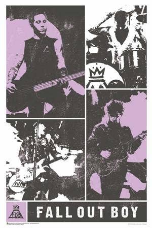 Fall Out Boy Panel Poster - 24" X 36"
