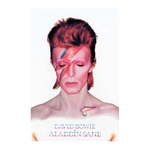 David Bowie Poster