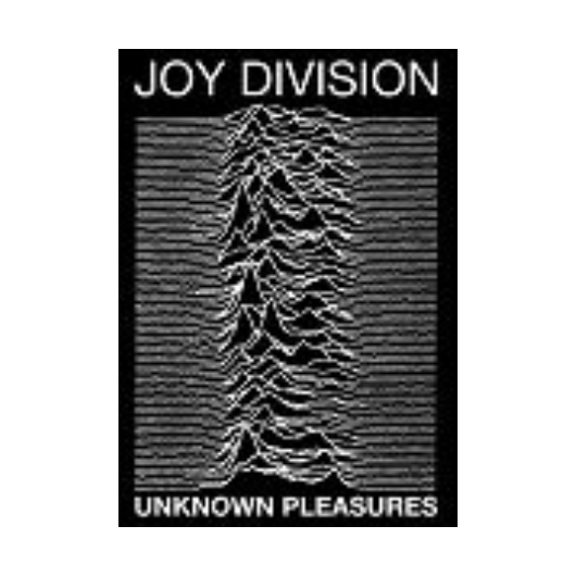 Joy Division Poster