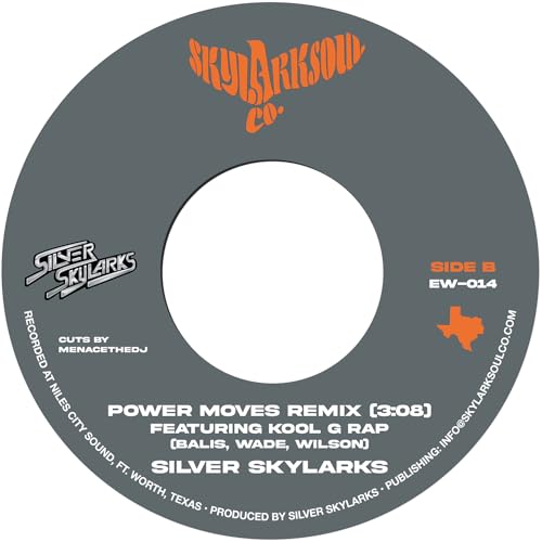 Silver Skylarks - Power Moves (Vinyl)