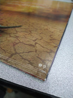 Delta Rae ‎– After It All (Pre-Owned Vinyl)