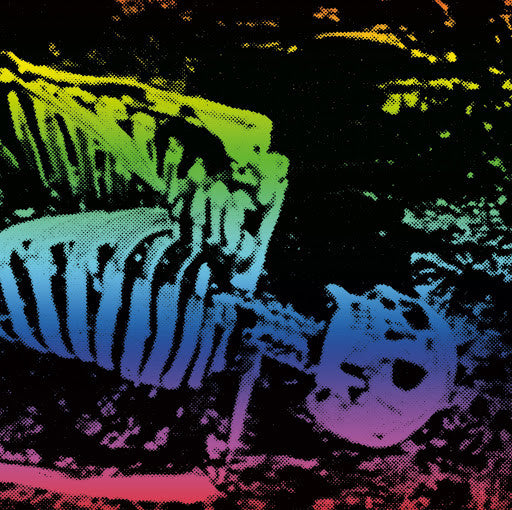 Soaker : S/T EP (7", EP)