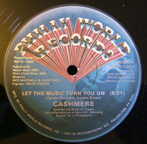Cashmere (2) : Let The Music Turn You On (12", Promo)