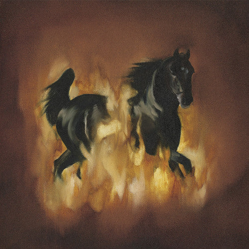 The Besnard Lakes - The Besnard Lakes Are The Dark Horse (Vinyl)