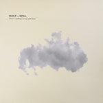 Built To Spill : There's Nothing Wrong With Love (LP, Album)