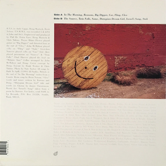 Built To Spill : There's Nothing Wrong With Love (LP, Album)