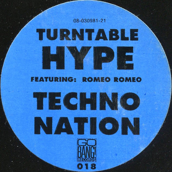 Turntable Hype : Techno Nation (12")