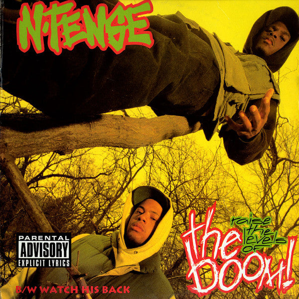 N-Tense : Raise The Levels Of The Boom (12")