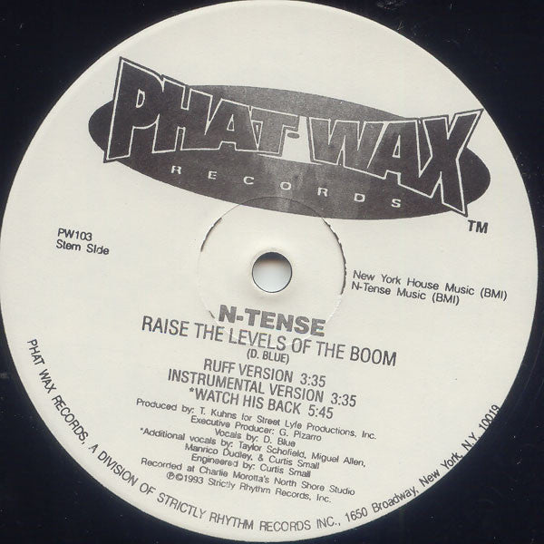 N-Tense : Raise The Levels Of The Boom (12")