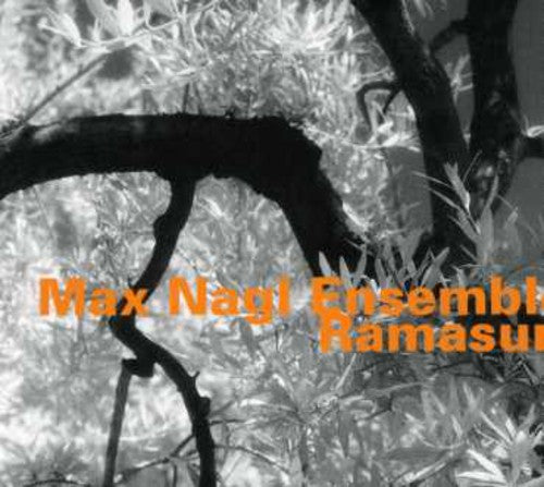 the album cover for Max Nagl - Ensemble Ramasuri [Import]