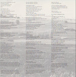 Larry Myer : Flatlands (CD, Album)