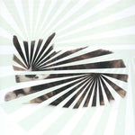 the album cover for The Blow - Poor Aim: Love Songs