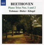the album cover for Nina Tichman - Piano Trios 2