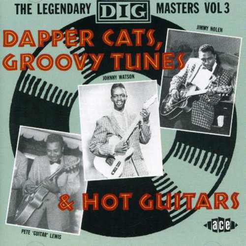 the album cover for Dapper Cats Groovy Tunes & Hot Guitars - Dapper Cats Groovy Tunes & Hot Guitars [Import]