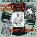 the album cover for Dapper Cats Groovy Tunes & Hot Guitars - Dapper Cats Groovy Tunes & Hot Guitars [Import]