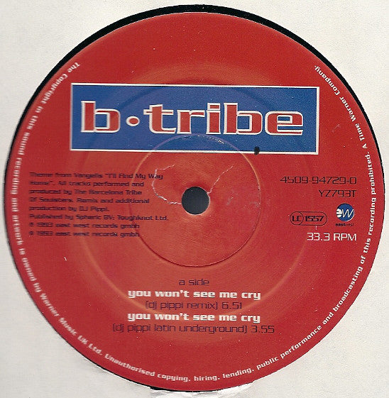 B-Tribe : You Won't See Me Cry (12")