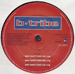 B-Tribe : You Won't See Me Cry (12")
