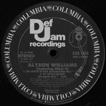 Alyson Williams Featuring Nikki D : My Love Is So Raw (12", Promo)