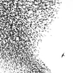Wilco - Cielo azul cielo (Vinilo)