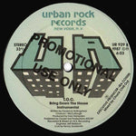 T.O.C. (3) : Bring The House Down (12", Promo)