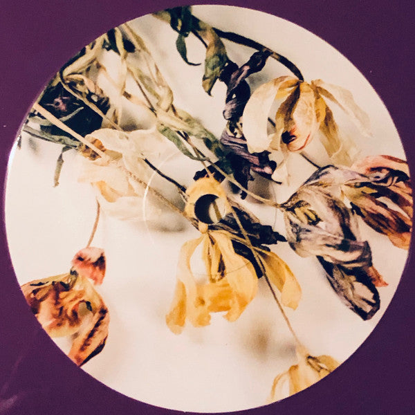 The Wonder Years : Burst & Decay (An Acoustic EP) (12", EP, Ltd, Pur)