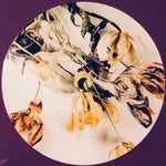 The Wonder Years : Burst & Decay (An Acoustic EP) (12", EP, Ltd, Pur)