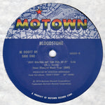 Bloodstone : Just Wanna Get The Feel Of It (12", Single)