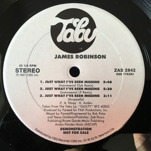 James Robinson : Just What I've Been Missing (12", Promo)
