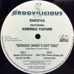 Endeva Featuring Andrea Tafuri* : Serious (What's Got You) (12")