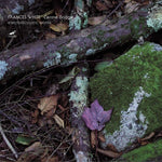 the album cover for White, Frances - Centre Bridge Electroacoustic Works