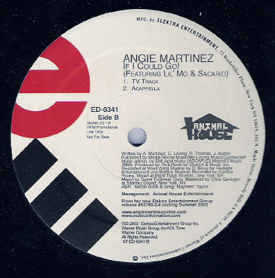 Angie Martinez Featuring Lil' Mo & Sacario : If I Could Go! (12", Promo)