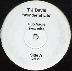 T J Davis* : Wonderful Life (12", Promo)