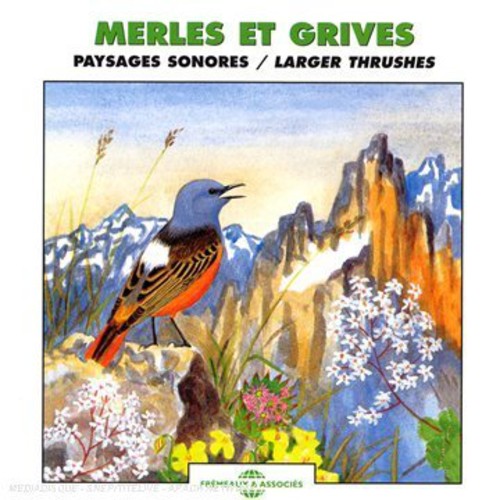 the album cover for Frémeaux Nature - Larger Thrushes