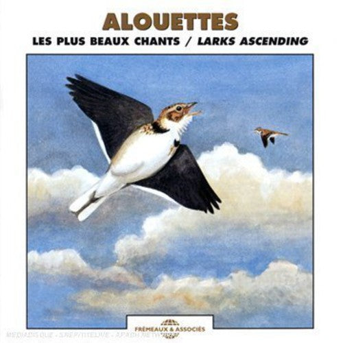 the album cover for NATURAL ATMOSPHERES - Larks Ascending