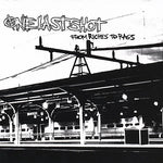 the album cover for One Last Shot - From Riches to Rags