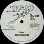 Gregg Diamond : Danger / Stand Up And Dance (12", Promo)