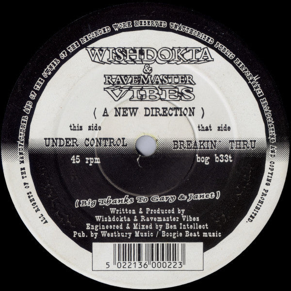 Wishdokta & Ravemaster Vibes* : A New Direction (12")
