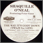 Shaquille O'Neal Featuring Peter Gunz : The Way It's Goin' Down (Twism For Life) (12", Promo)