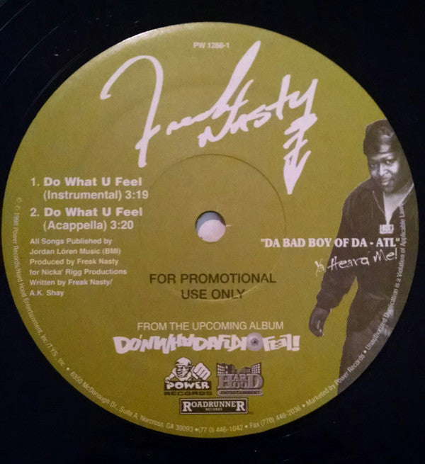 Freak Nasty : Do What U Feel (12", Promo)