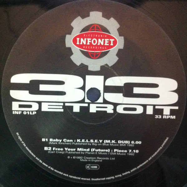 Various : 313 Detroit (2xLP, Comp)