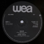 Ofra Haza : Galbi (The Sehoog Mix) (12")