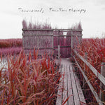 Tenniscoats : Tan-Tan Therapy (CD, Album, Dig)